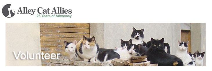 alley cat allies calendar