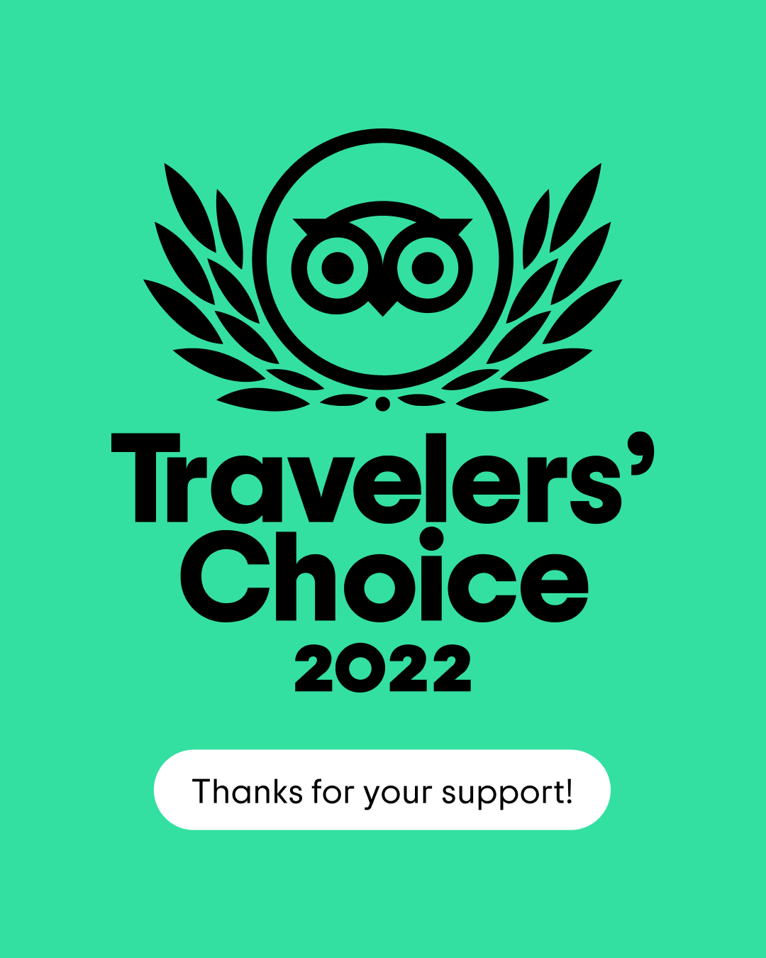 2022 Tripadvisor Travelers Choice Award