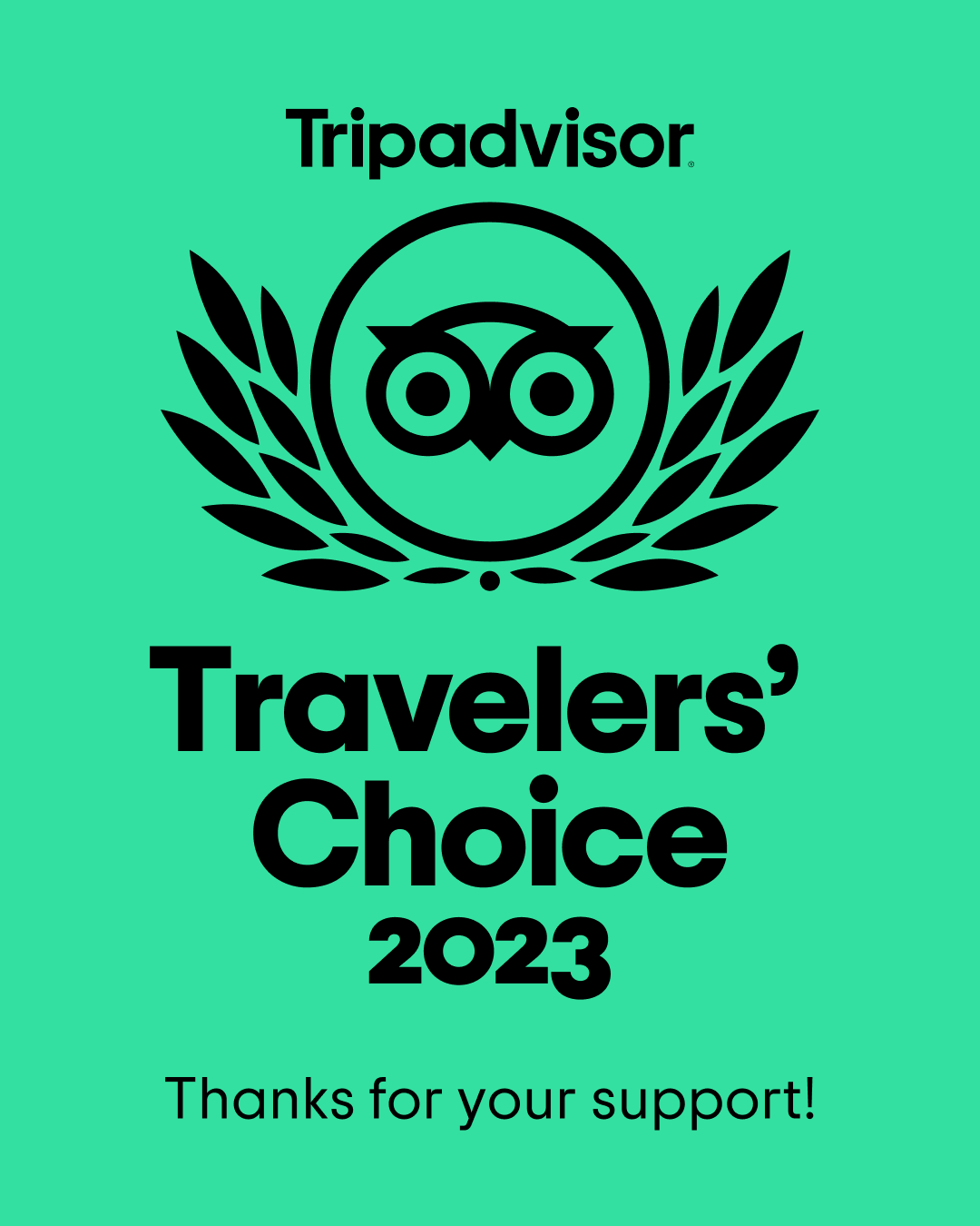 Tripadvisor 2023 Travelers Choice Award