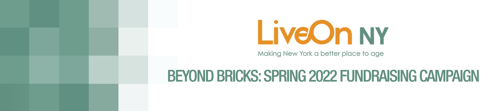 BEYOND BRICKS: Spring 2022 Fundraising Campaign