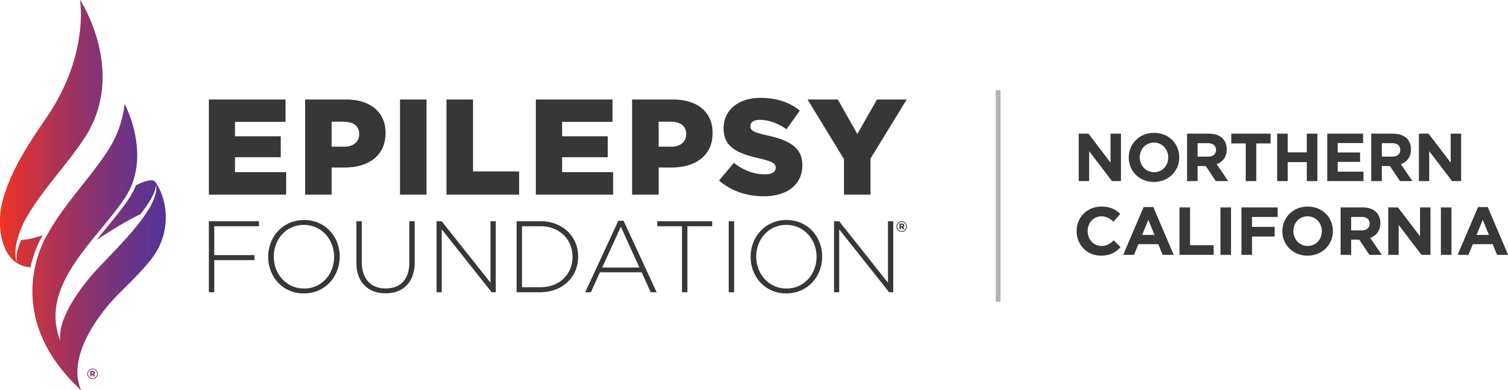 Epilepsy Foundation