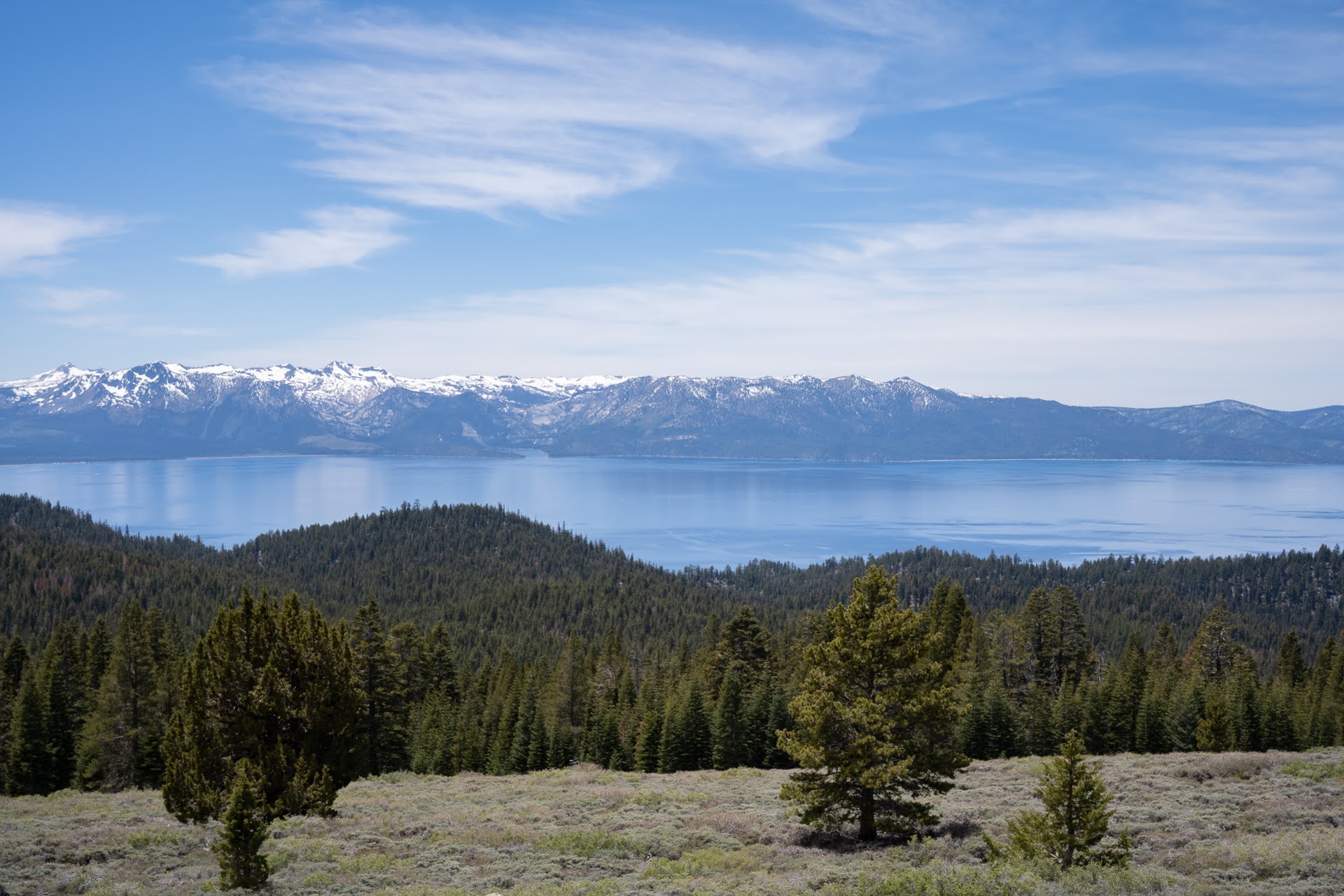 Tahoe Rim Trail Guided hikes