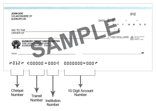 DD Info