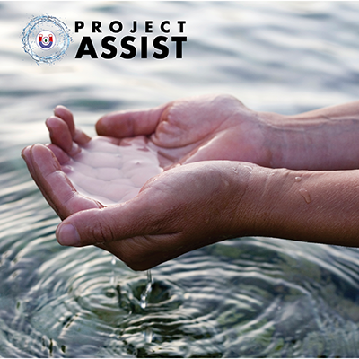 IQ Project Assist Header