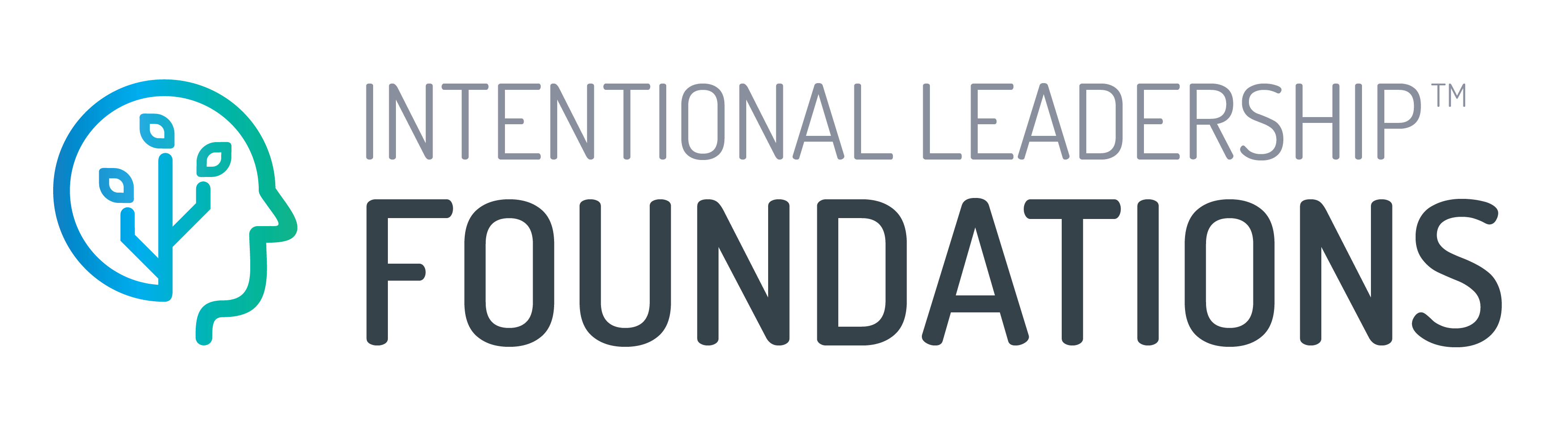 intentional leadership foundations