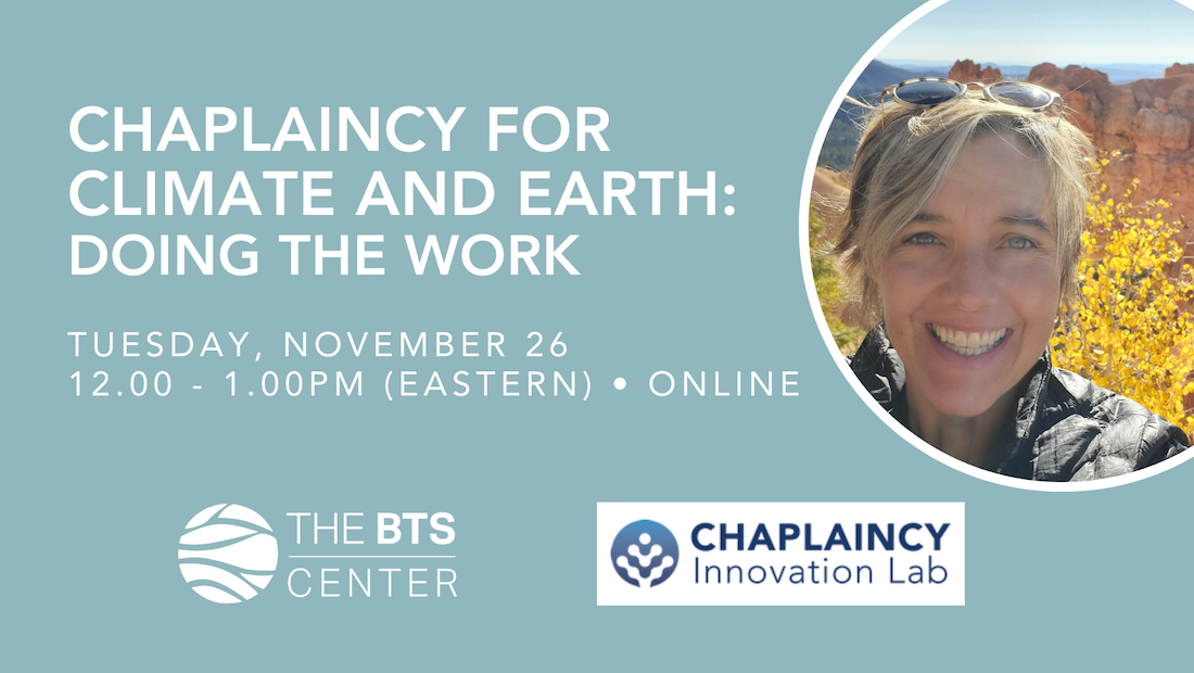 Chaplaincy for Climate and Earth: Doing the Work