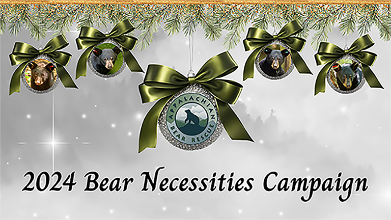 Appalachian Bear Rescue holiday fundraising - holiday ornaments with pictures of bears on ornaments