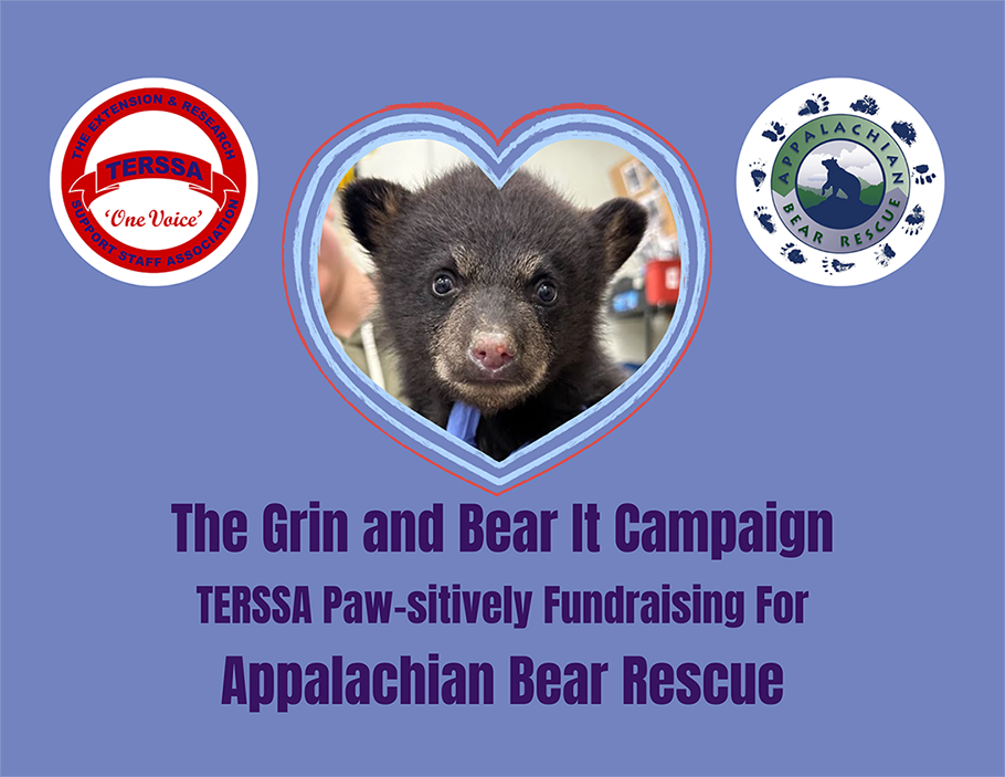 Appalachian Bear Rescue and TERSSA fundraising to protect baby black bears